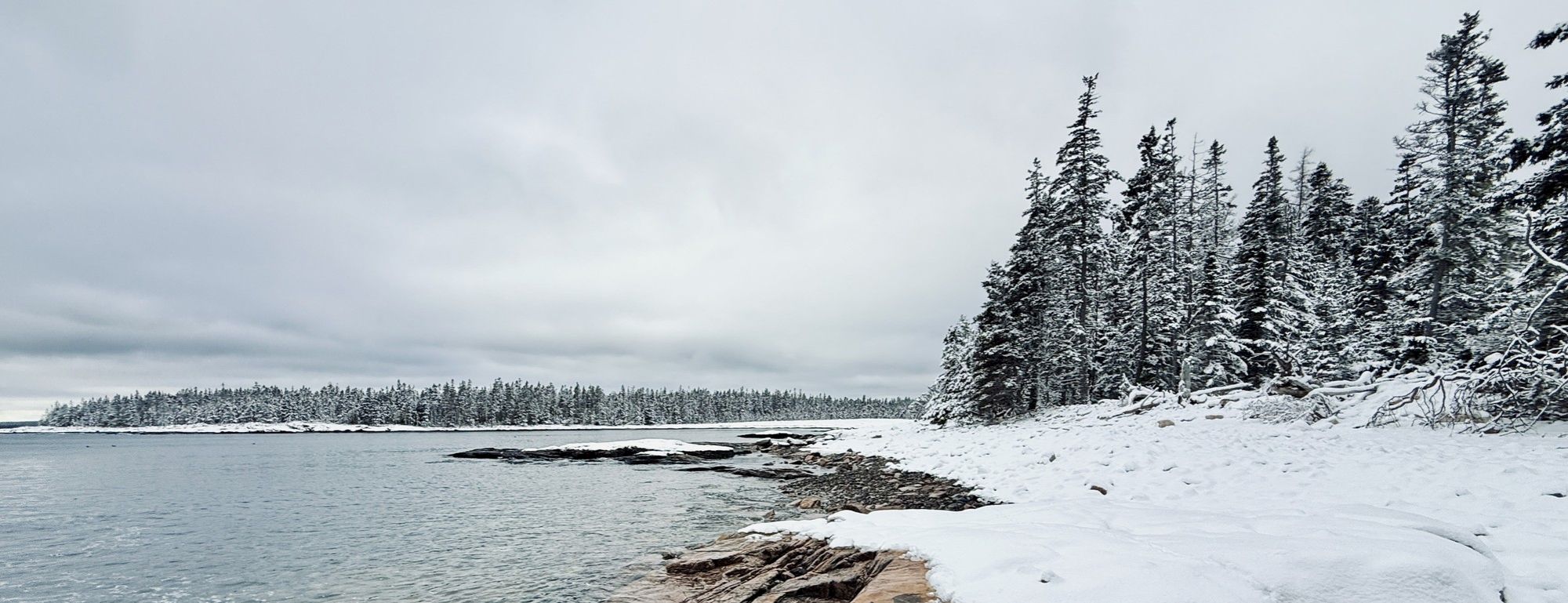 A snowy shoreline with a calm lake, a line of evergreen trees, and a pale, overcast sky stretching across a quiet winter coast.