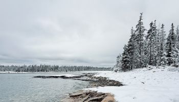 A snowy coastal scene: calm water, a rocky shore, and a dense forest of snow-covered evergreen trees along the shoreline under a gray, overcast sky.