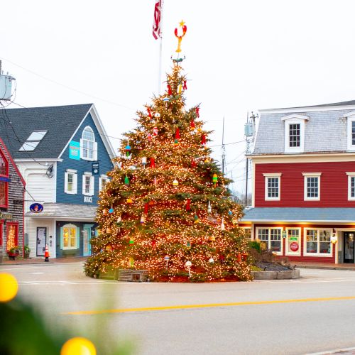 A festive town square with a large decorated Christmas tree surrounded by colorful buildings and a lamp post adorned with garland.